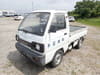 SUZUKI Carry Truck (865)