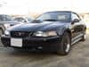 FORD Mustang (5)