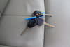 //image-cdn.beforward.jp/small/202212/4426581/BM944585_34a75d.jpg