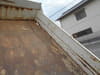 //image-cdn.beforward.jp/small/202303/4785446/BN338000_2bb3d7.jpg