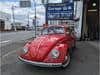 VOLKSWAGEN Beetle (57)