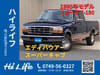 FORD F150 (28)