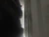 //image-cdn.beforward.jp/small/202308/5103540/BN646763_5bf532.JPG