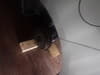 //image-cdn.beforward.jp/small/202308/5103540/BN646763_bab0c2.JPG