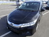 HONDA Grace (79)