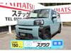 DAIHATSU TAFT (1)