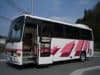 HINO HINO Others (12)