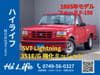 FORD F150 (14)