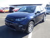 LAND ROVER DISCOVERY SPORT (540)