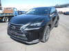 LEXUS NX (627)