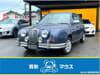 Mitsuoka Viewt (39)