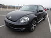 VOLKSWAGEN The Beetle (322)