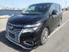 NISSAN Elgrand (883)