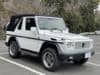 MERCEDES-BENZ G-Class (1)