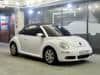 VOLKSWAGEN Beetle (1)