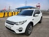 LAND ROVER DISCOVERY SPORT (1,042)