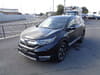 HONDA CR-V (257)