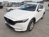 MAZDA CX-5 (1,782)