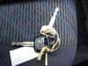 //image-cdn.beforward.jp/small/202503/10364234/BX138916_99d340.JPG