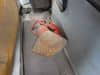 //image-cdn.beforward.jp/small/202503/10416459/BX177429_f28d6a.JPG