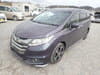 HONDA Odyssey (972)