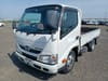 HINO Dutro (1,531)