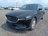 MAZDA CX-8 (859)