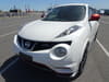 NISSAN JUKE (445)