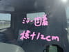 //image-cdn.beforward.jp/small/202505/11131674/BX893295_910293.JPG