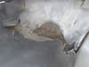 //image-cdn.beforward.jp/small/202505/11131716/BX893287_2134db.JPG