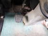 //image-cdn.beforward.jp/small/202505/11131716/BX893287_b1df33.JPG
