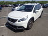PEUGEOT 2008 (273)