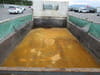 //image-cdn.beforward.jp/small/202505/11215614/BY053230_3cebfb.JPG