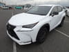 LEXUS NX (1,226)