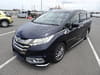 HONDA Odyssey (1,006)