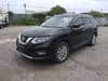 NISSAN X-Trail Hybrid (131)