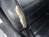 //image-cdn.beforward.jp/small/202506/11341584/BY193229_7ae70d.JPG