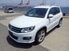 VOLKSWAGEN Tiguan (694)
