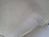 //image-cdn.beforward.jp/small/202506/11470131/BY320726_1ed1d0.JPG