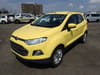 FORD Ecosports (8)