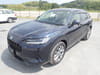 HONDA ZR-V (127)