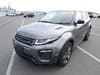 LAND ROVER Range Rover Evoque (1,917)