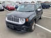 JEEP Renegade (678)