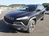 JEEP Cherokee (475)