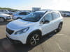 PEUGEOT 2008 (220)