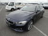 BMW 4 Series (98)