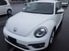 VOLKSWAGEN The Beetle (438)