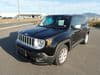 JEEP Renegade (737)