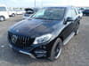 2016 MERCEDES-BENZ GLE-CLASS LDA-166024 WDC1660242A668986
