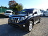 2014 TOYOTA LAND CRUISER PRADO CBA-TRJ150W TRJ150-0041306